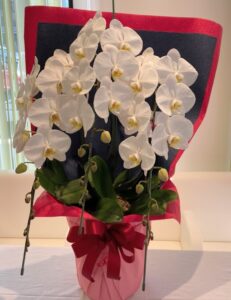 花のせりた 札幌市豊平区にある花屋です 誕生日 開店祝い 供花スタンドなど幅広く対応します